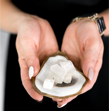 Load image into Gallery viewer, Gold gilded oyster with selenite fragrance diffusing stones being held in hands
